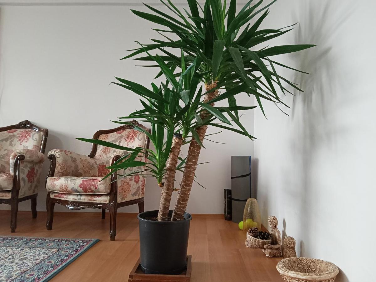 Single Room, Одноместная Комната В Доме, Chambre D'Une Personne, Habitacion Individual Istanbul Exterior foto